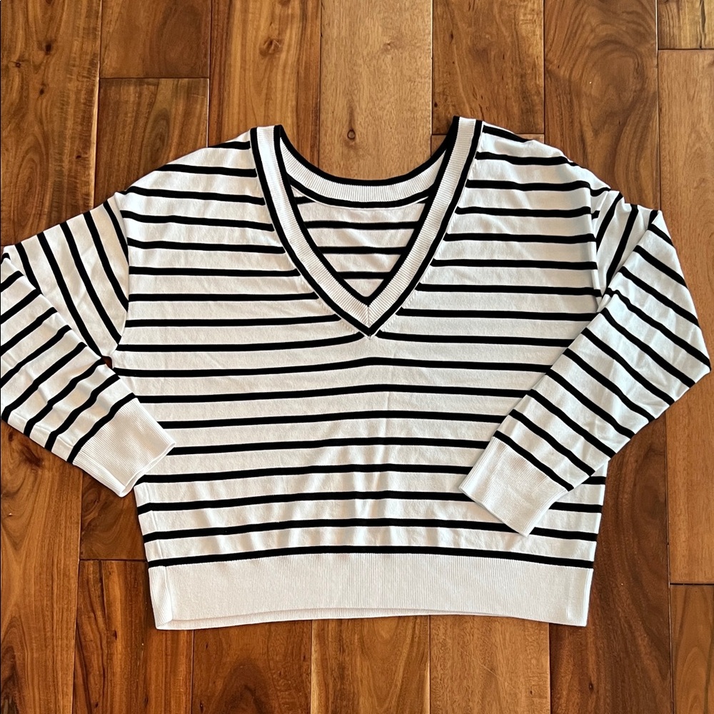 Express reversible Black and White Striped V-Neck Sweater